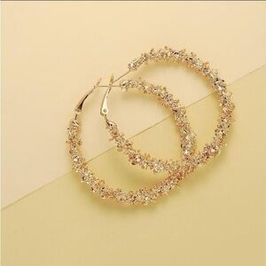 Luxury Gold Hoop Earrings